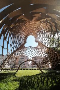 Laguna (©︎ Francesco Allegretto)