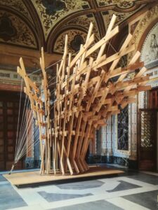 L'albero della Barca (©︎ Patrizia Mello)