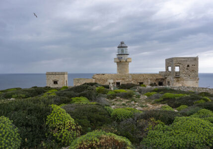 Lèvanzo (© Archivio AutonomeForme)