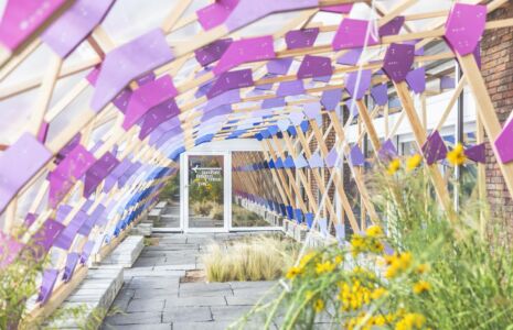 Giardino solare (© David von Becker. courtesy AdK Berlino)