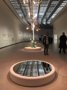 Collezione di design contemporaneo (© Cecilia Rosa)