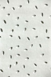 Intonaco © Ateliers Tesar Vienna