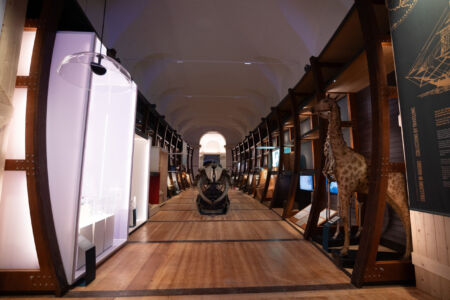 Sala dell'Arca delle esplorazioni (foto Simone Benso)
