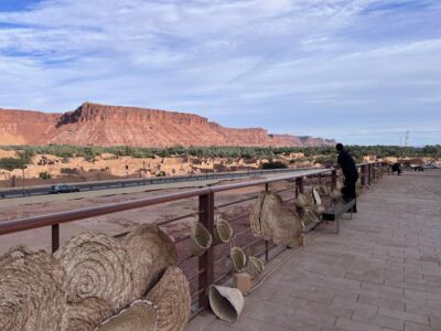 Il palmeto dall'Old Town