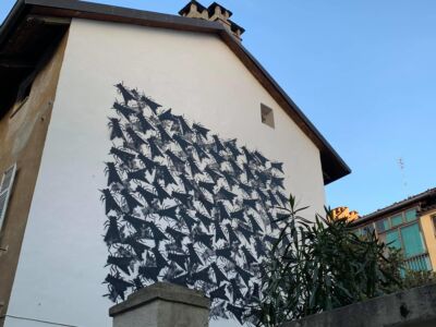 Mosche, Sergio Ragalzi