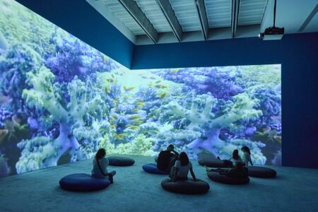 © Cinzia Capparelli