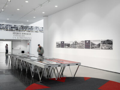 Premio, mostra al Mart di Rovereto, © Paolo Sandri