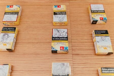 © Pedro pina/Calouste Gulbenkian Foundation