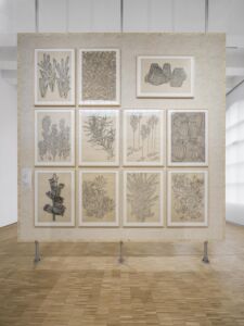 foto Delfino Sisto Legnani - DSL Studio @ Triennale Milano