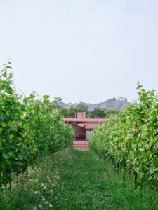 Miglior edificio_Studio Pizzi, Cantina-Vinicola-Cerese