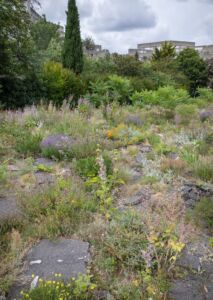 Jardin Joyeux, quartiere La Maladrerie, Aubervilliers, Wagon Landscaping, 2015 (© Yann Monel)