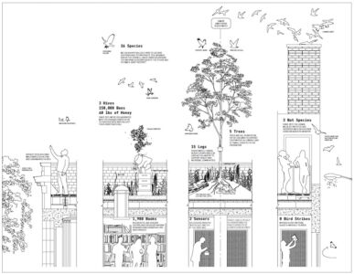 Rooftop Prairie, Chicago. Studio Gang, 2016 (© Studio Gang)