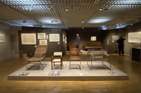 © Francesca Petretto