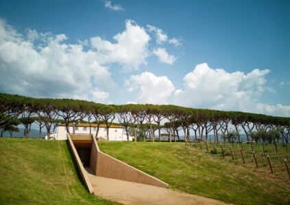 Opera di nuova costruzione: Cantina Guado al Tasso, Fiorenzo Valbonesi / asv3 officina di architettura