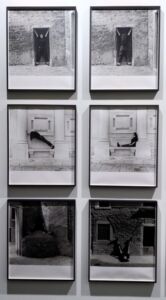 Tarrah Krajnak, Body Configurations
© Matteo Pirola