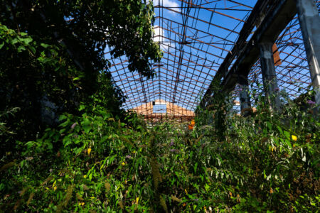 Bosco Lanerossi: gli alberi invadono la vecchia fabbrica, © Federico Marcomini