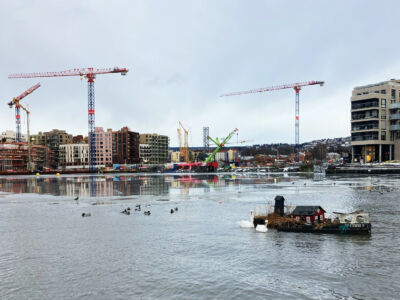 Esempi di coesistenza tra umano e non-umano, con cantieri per nuove aree residenziali sullo sfondo, Oslo, © Silvia Lanteri e Maicol Negrello