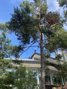 Artipelag (© Adele Muscolino)