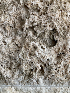 Pietra corallina (faroush), Bahrain (© Matilde Mellini)