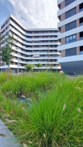 La nuova crescita della città verso ovest (© Laura Milan)