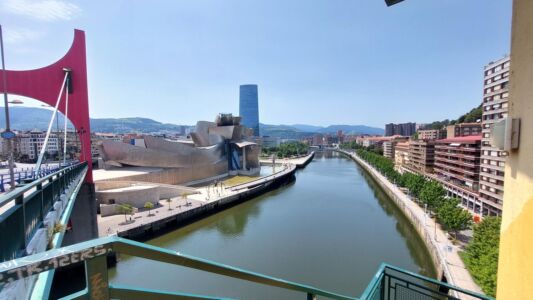 La rigenerazione della sponda fluviale sinistra dal Ponte di La Salve (© Laura Milan)