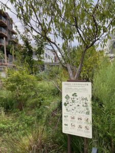 Il quartiere di Shimokitazawa, Tokyo (© Chiaro Riccardo)
