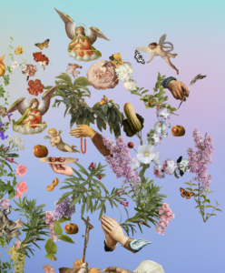 FallenFruit, Accademia Carrara, Bergamo (© Michele Nastasi)