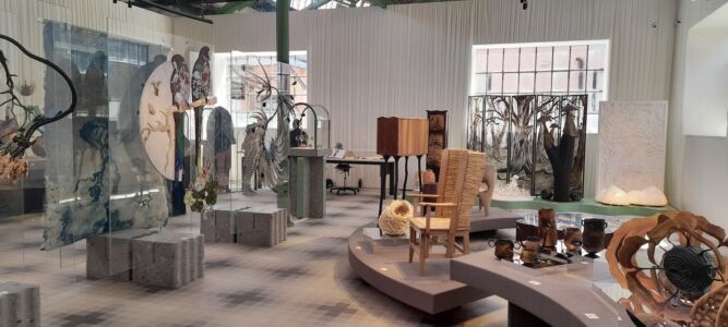 Nature Natura,Venezia (© Alessandro Colombo e Paola Garbuglio)