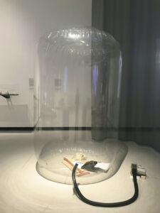 (© Alessandro Brunelli)