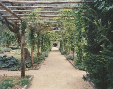 Pergolato Giardino Redentore, Venezia 2024 (© Francesco Neri)
