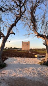 Ingresso della Torre 67, Lecce (© Studio Aires Mateus)