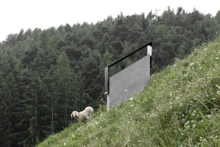 Bergmeisterwolf, “in transizione”, complesso
di Rappersbühl a Collalbo, Renon (© Gustav Willeit)