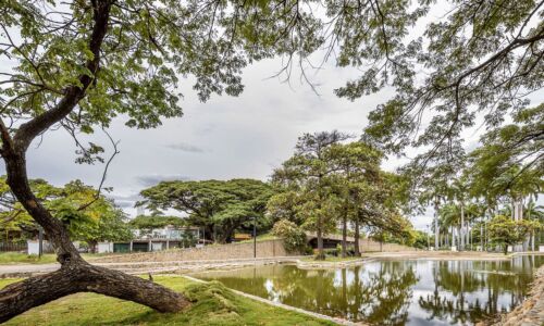 Il nuovo specchio d’acqua, Parco Gran Colombiano, Cartagena (© Mauricio Carvajal)