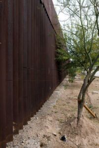 Fernanda Canales, Agua Prieta