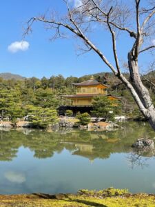 Kinkaku-ji (Padiglione d’Oro), Kyoto (© Riccardo Chiaro)