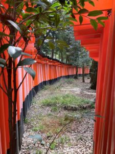 Santuario di Fushimi Inari-taisha, Kyoto (© Riccardo Chiaro)
