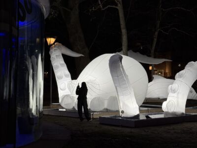 Padiglione Montagnola, Leggere creature inside out, Danilo Traverso, Bologna, 2025 (courtesy Fondazione IU Rusconi Ghigi)