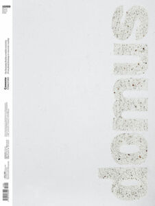 Copertina Domus, marzo 2025 numero 1099