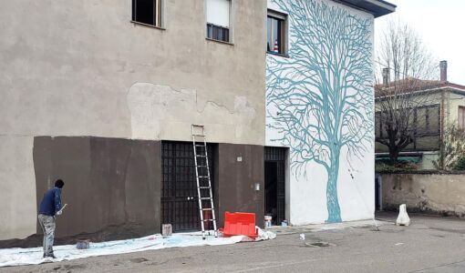 Sophora on the Wall, Simone Ferrarini - Collettivo FX