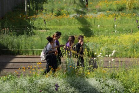 Jardim de Sequeiro, Brasília (© Júlio Barea Pastore)