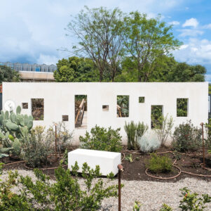 Radicepura 2025, giardino Mira