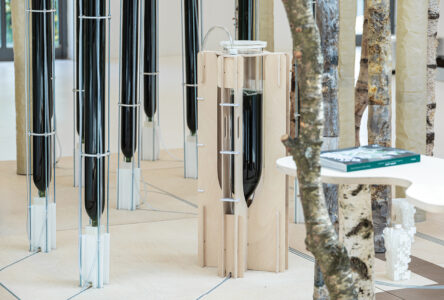 DeepForest³ (© Synthetic Landscape Lab)