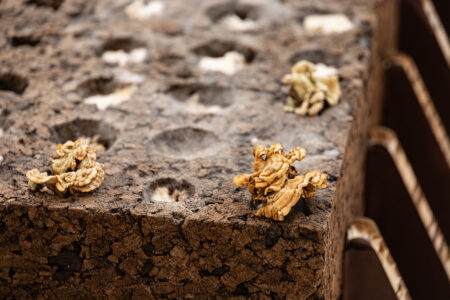 DeepForest³ (© Synthetic Landscape Lab)