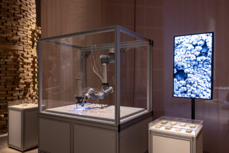 Geological Microbial Formations (foto Marco Zorzanello, Courtesy: La Biennale di Venezia)