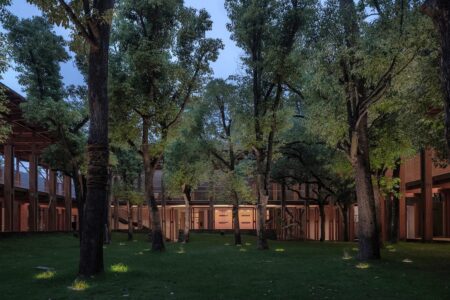 Vector Architects, Jingyang Camphor Court Hotel: veduta del bosco nella corte centrale (© Arch-exist)