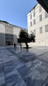 Cultural Center Stavros Niarchos Foundation, Atene, Rpbw, ingresso da parcheggio (© Laura Milan)
