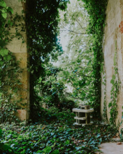 Intrecci•Intertwinings, Comune di Salve (© Alba Deangelis)