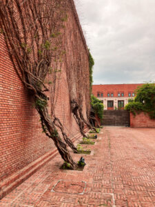 Alberi che crescono sui mattoni, Red Brick Art Museum, Pechino (@Silvia Lanteri)