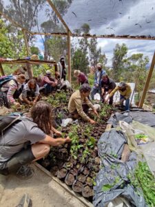 Bogotà, progetto comunitario Fundación Cerros de Bogotá