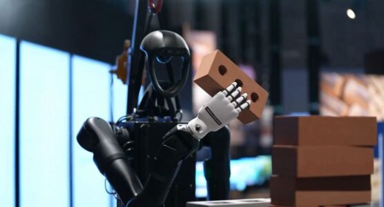 CONSTRUCTION FUTURES | Mostra Internazionale di Architettura di Venezia (© Record Studio)